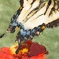 Swallowtail Butterfly in Flight